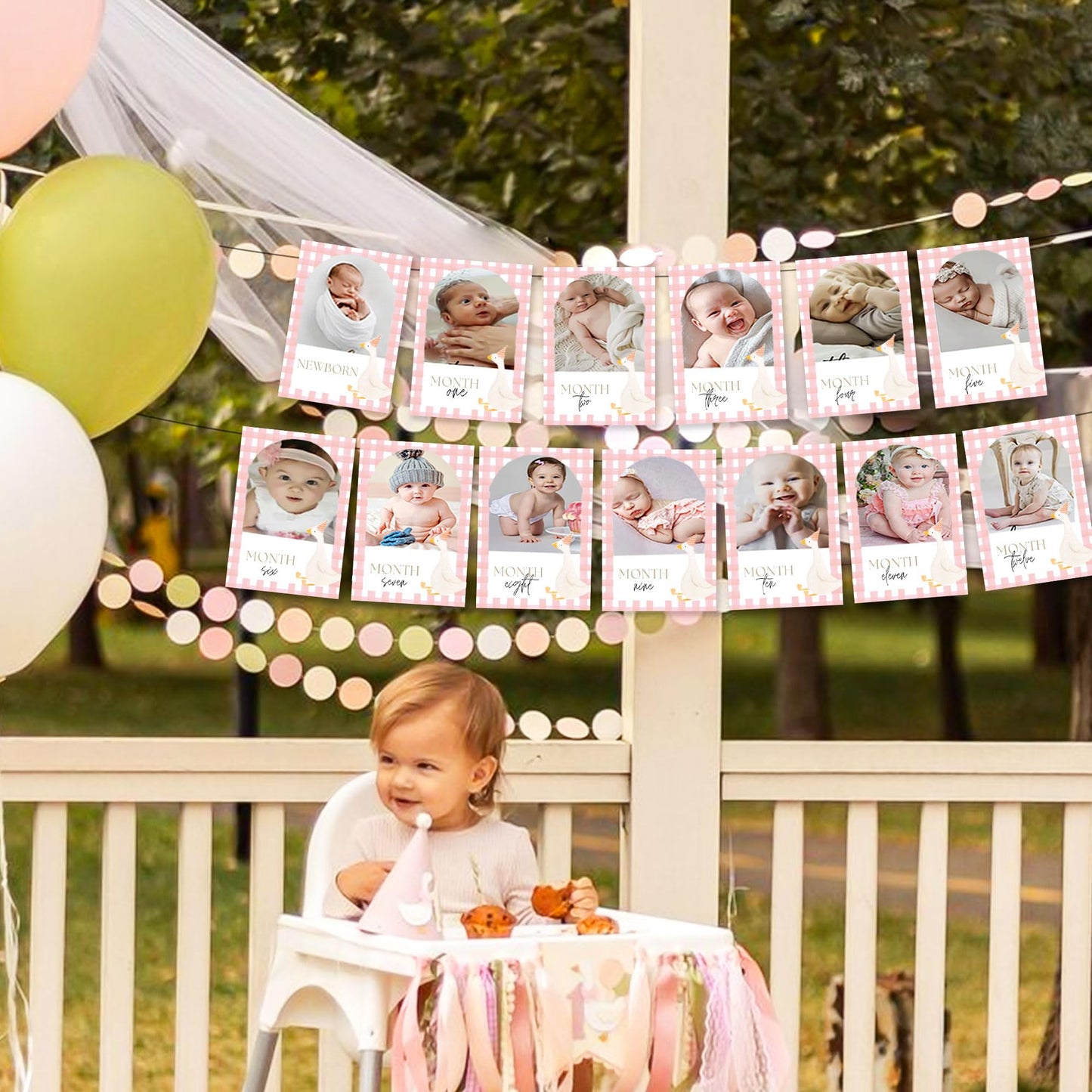 Pink One Silly Goose Photo Banner Silly Goose 1st Birthday Decor Girl for Newborn to 12 Months Picture Banner Goose First Birthday Party Supplies Monthly Milestones Frame