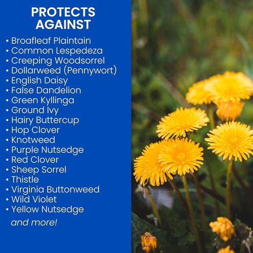 BioAdvanced 3-In-1 Weed and Feed Granules - Perfect for Southern Lawns, 12.5 lb Covers 5,000 Sq Ft