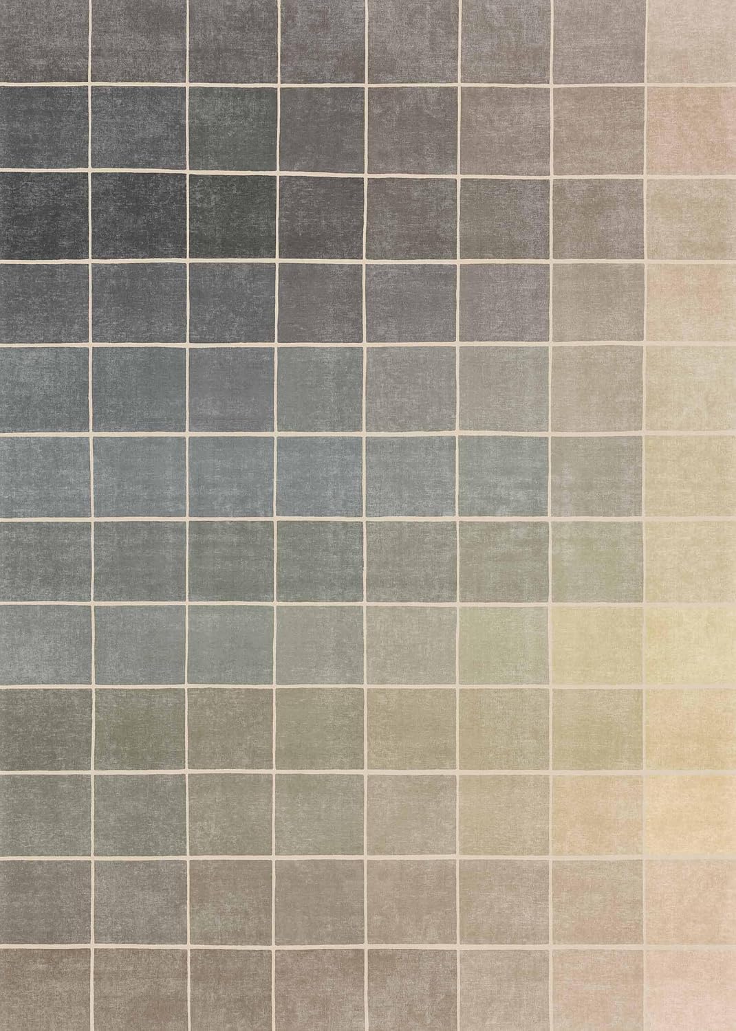Washable Modern Office Rug by [Brand Name] - Non-Slip, Stain-Resistant 5x7 Gray & Beige Design