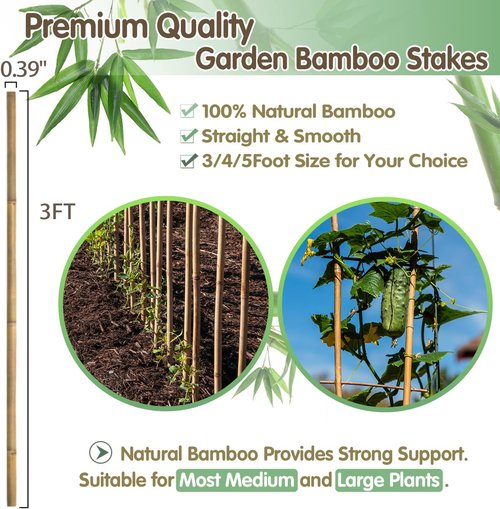 BOVITRO Bamboo Garden Stakes - 3FT Natural Plant Support for Tomatoes, Beans & Climbing Plants | 25 Pcs