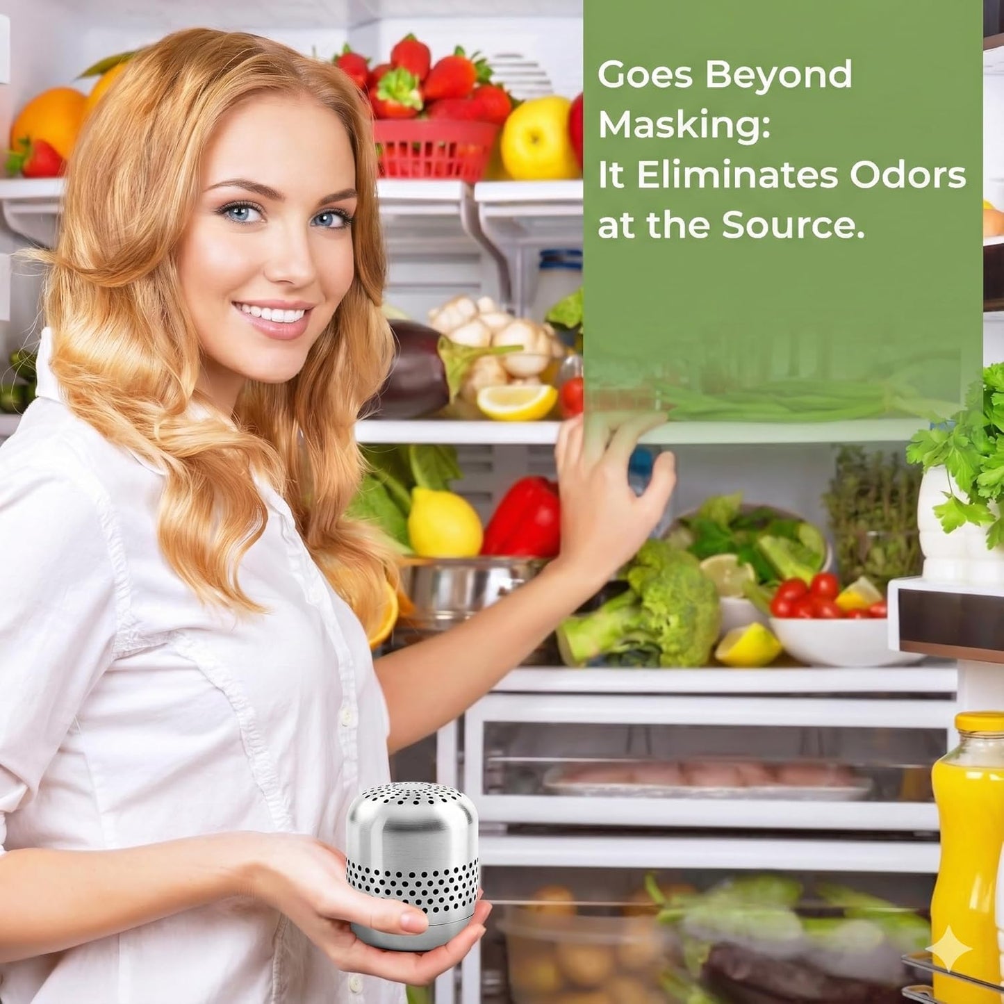 Skiennix Fridge Deodorizer - Long-Lasting Odor Eliminator with Nano Catalyst Technology | 10-Year Lifespan