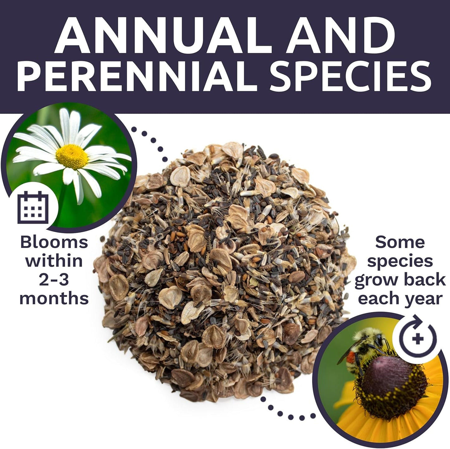 Wildflower Seed Mix by Drought Tolerant - Extra Large Packet with 7,500 Non-GMO Seeds - 21 Dryland Species