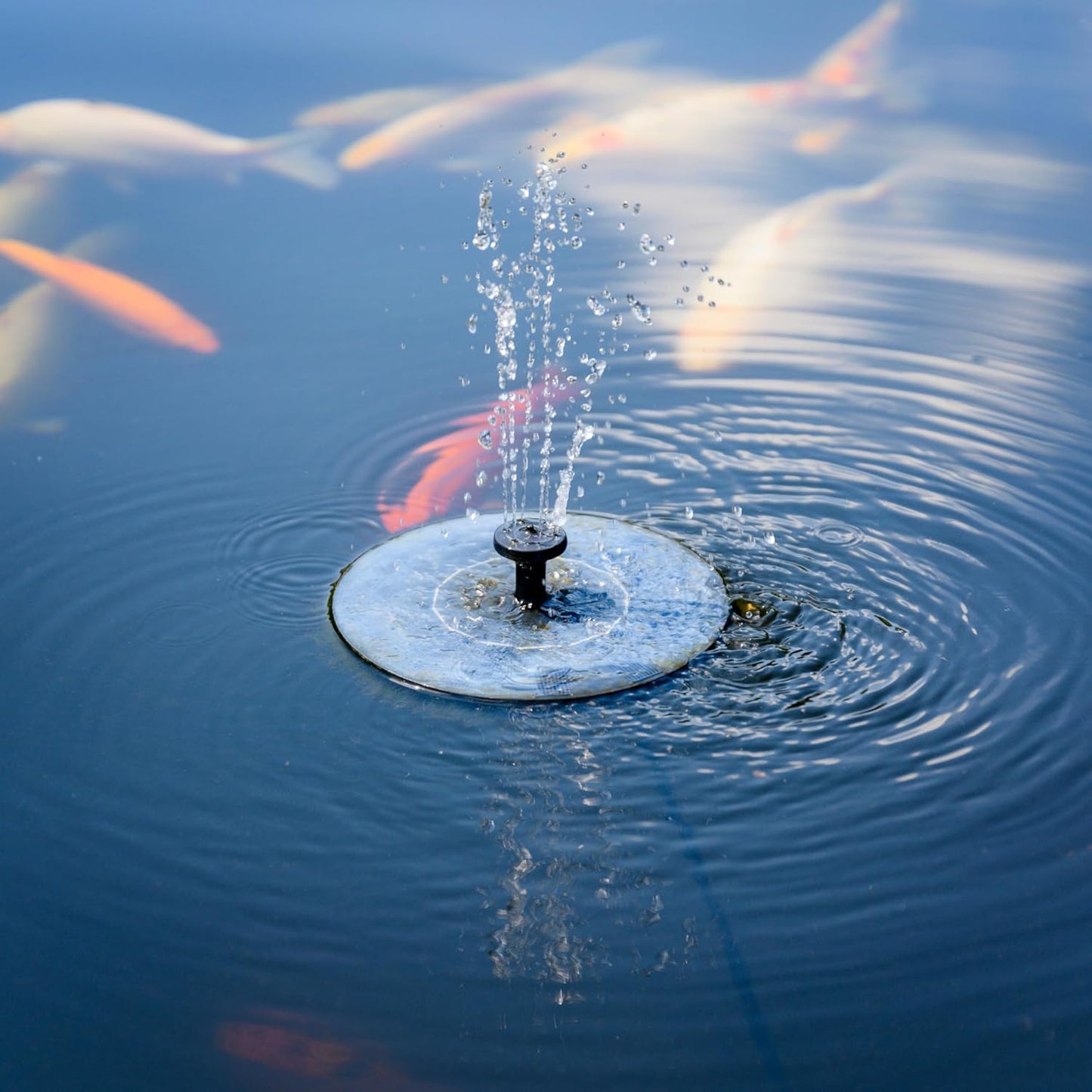Solatec Solar Powered Fountain Pump - 1.3W Solar Panel Kit for Bird Bath, Pond & Garden