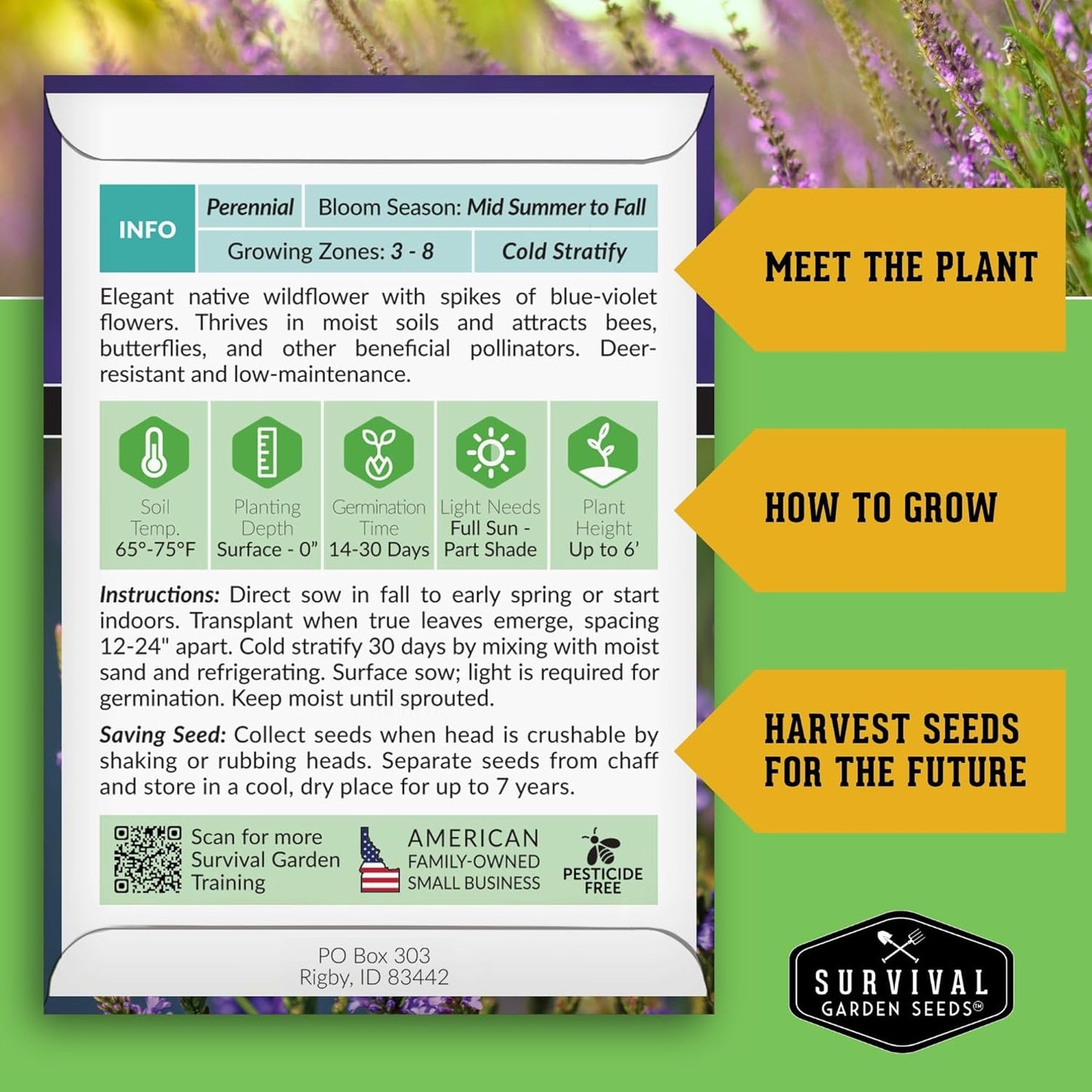 Survival Garden Seeds Blue Vervain Seeds - North American Native Wildflower | Butterfly Magnet - 1 Pack