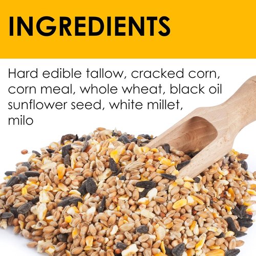 Heath Outdoor Products High Energy Suet Cake Bird Food - No Mess, 10oz | Pack of 16 for Woodpeckers & More