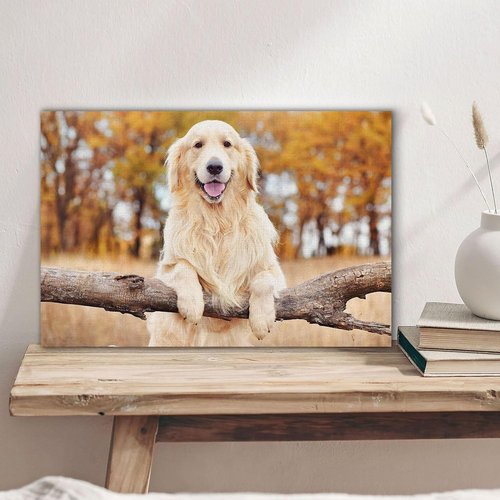 Custom Canvas Prints - Personalized Photo Wall Art for Family, Pets & Couples | Framed 20x16