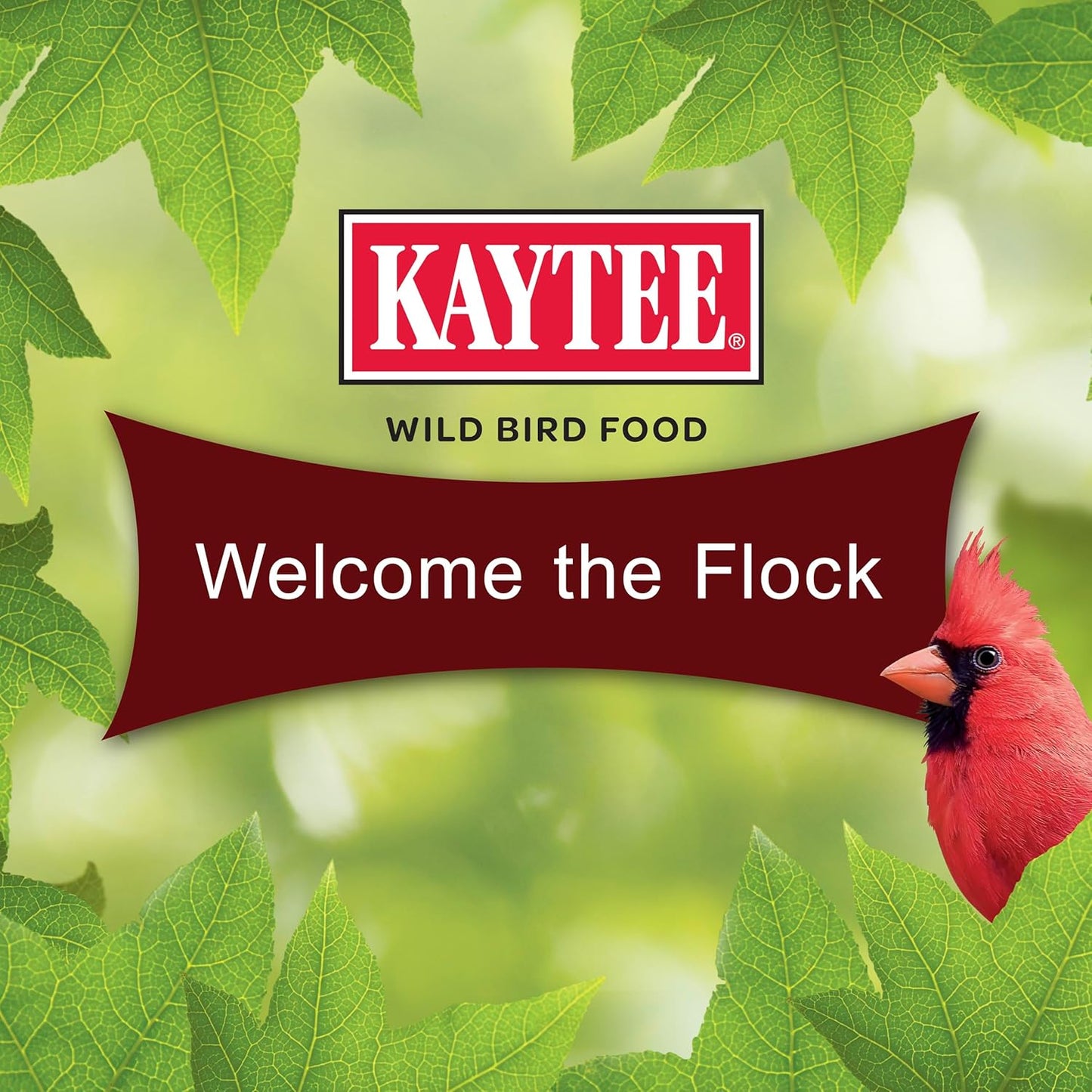 Kaytee Cardinal Seed Cake - Premium Wild Bird Food for Attracting Cardinals - 1.85 Pounds