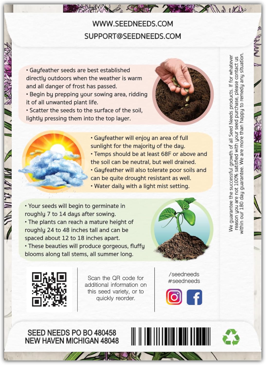 Seed Needs Gayfeather Seeds - 500 Heirloom Liatris Spicata Seeds for Pollinator-Friendly Gardens