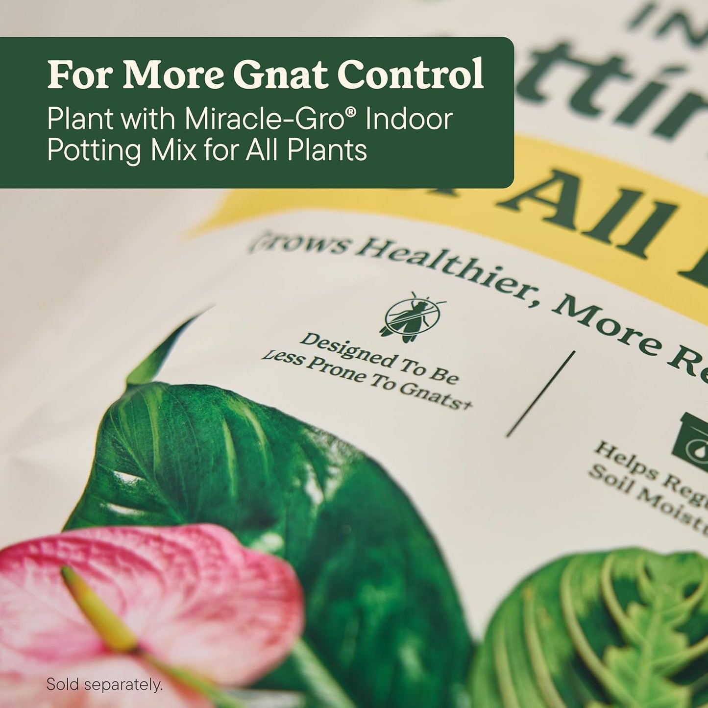 Miracle-Gro Gnat Control Plus Plant Food - Effective Indoor & Outdoor Plant Care | 4 Packets