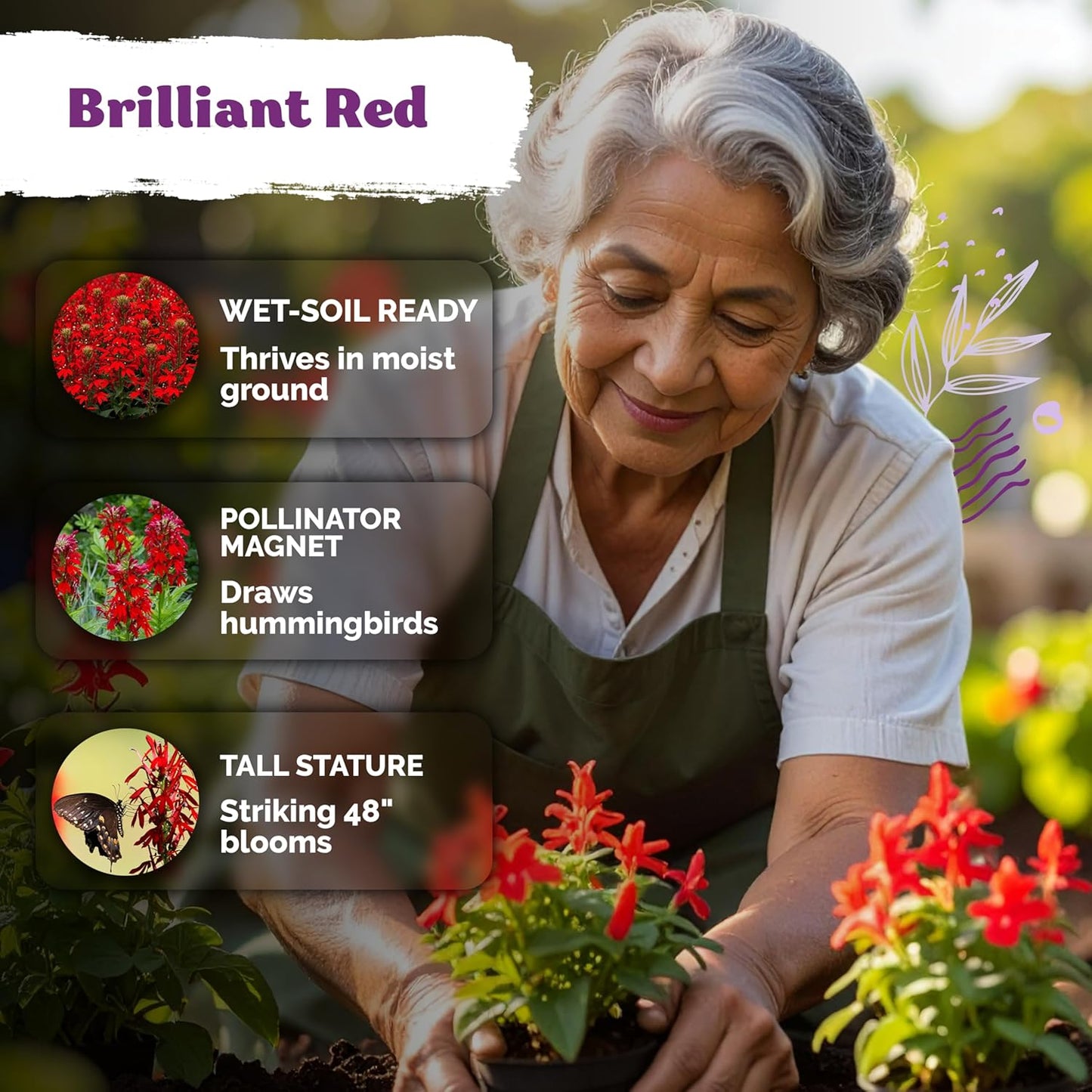 KVITER 2000 Red Cardinal Flower Seeds - Lobelia Cardinalis for Vibrant Outdoor Gardens | Perennial Seed Packets