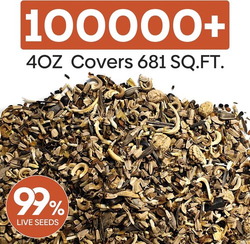 Groundio Wildflower Seeds - 100,000+ Bulk Seeds | 26 Variety Mix to Attract Pollinators - 1/4 lb