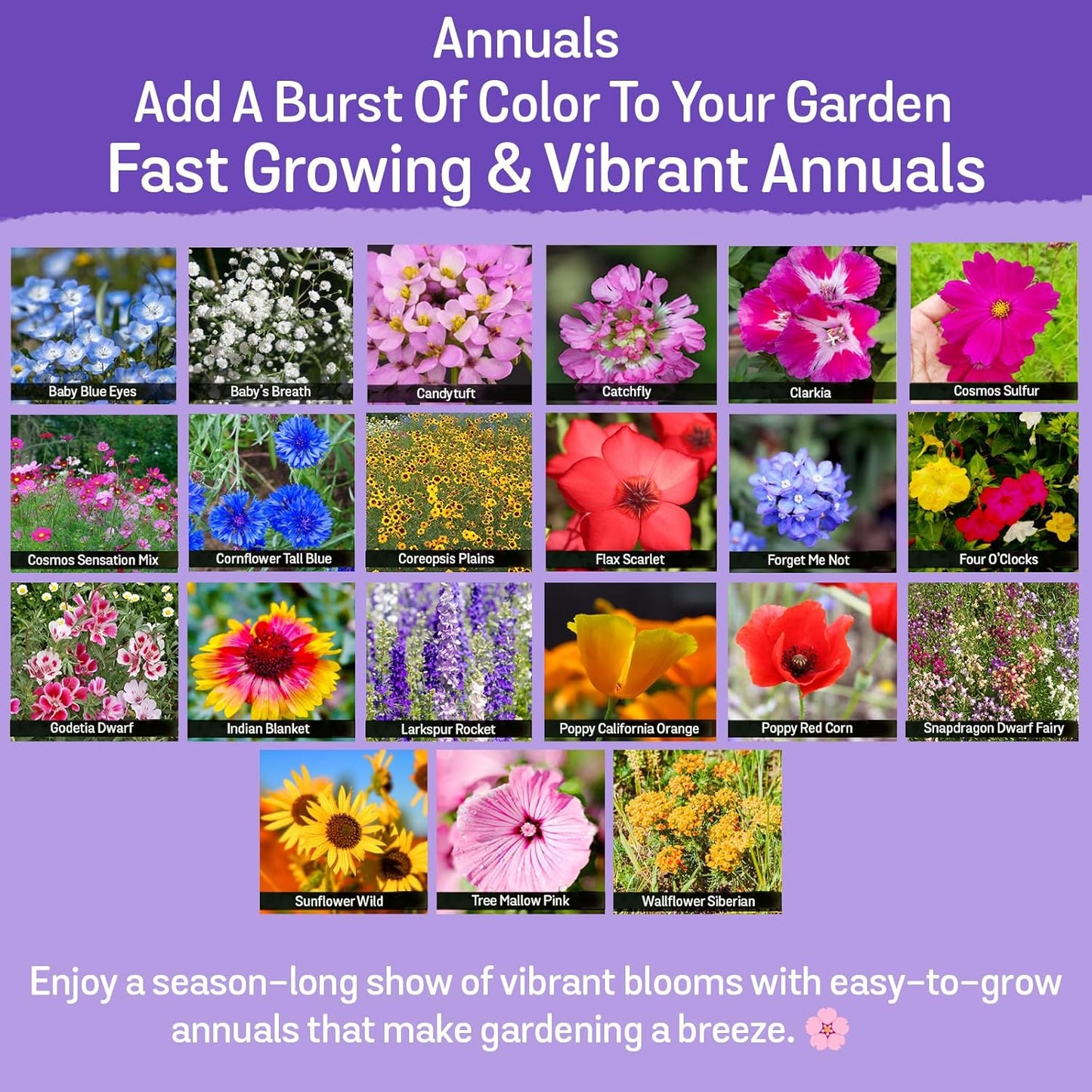 NatureZ Wildflower Seeds - 35 Varieties of Perennial & Annual Flowers | 1/2 lb Bulk Pack (340,000 Seeds)