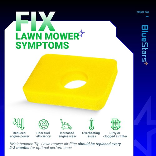 BlueStars Air Cleaner Foam Filter - 6 Pcs Compatible with 09P602, 09P702, 550e-550ex Series