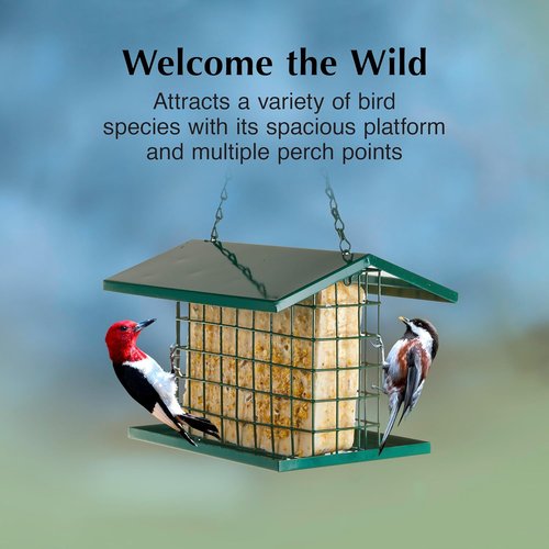 C&S EZ Fill Deluxe Suet Feeder - Roof & Platform Design for Wild Birds | Holds 56 Ounce Suet Cake