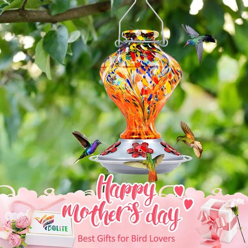 BOLITE Glass Hummingbird Feeder - Hand Blown Twisted Design with Ant Moat & 5 Feeding Ports | 24 Ounces, Orange