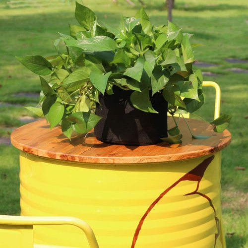 Gardzen 20-Pack 1 Gallon Nonwoven Grow Bags - Durable Aeration Fabric Pots for Healthy Plants