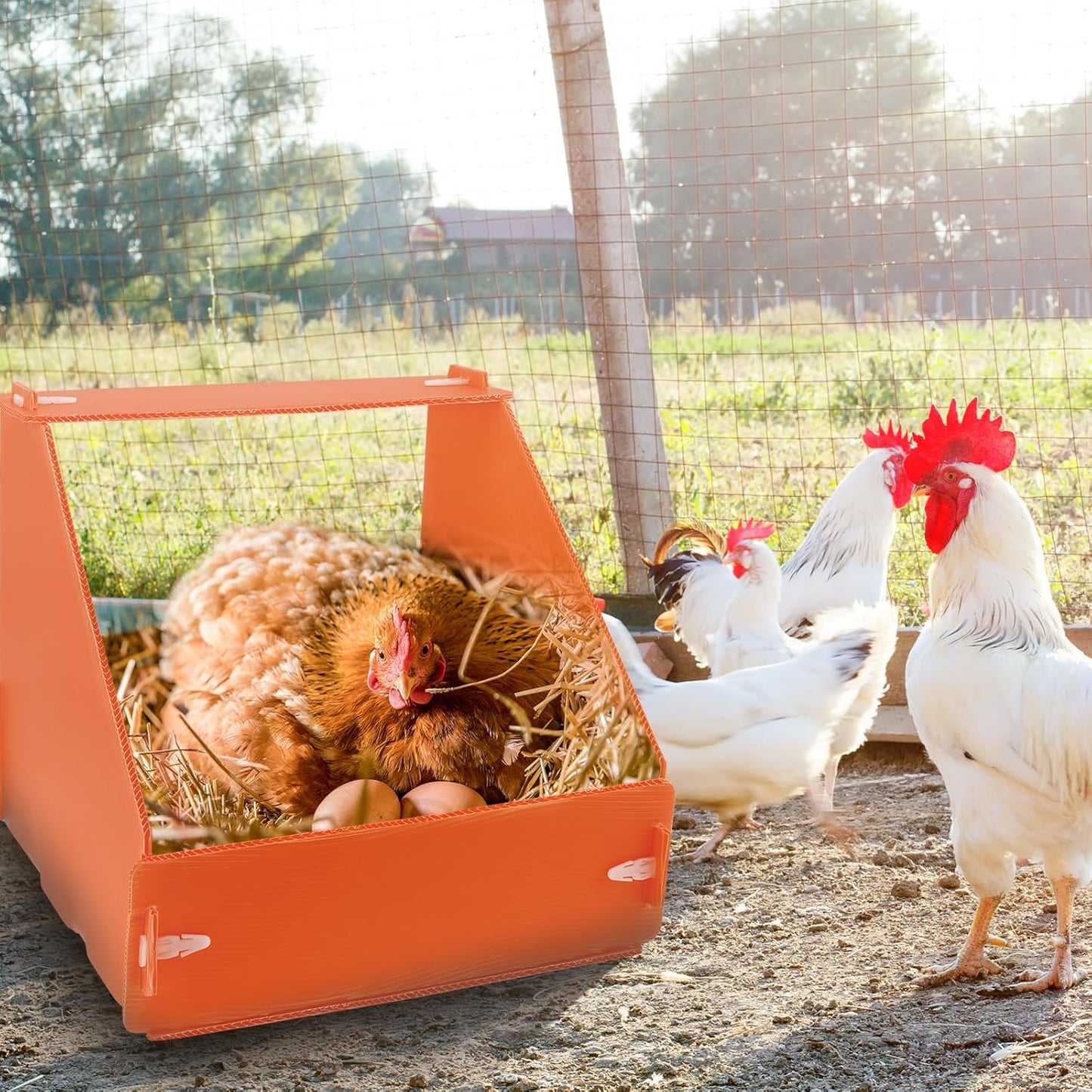 Touri Chicken Nesting Boxes - Durable 3 Pack for Hens, Ducks & Poultry | Orange Color
