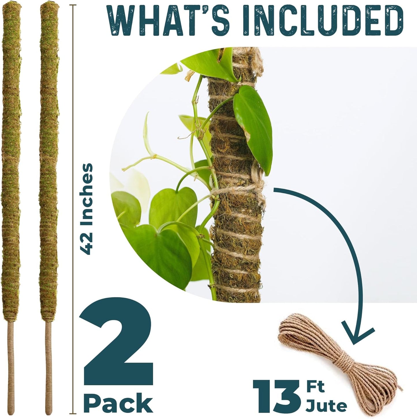 K-Brands Coco Coir Moss Poles - 4 Pack Plant Support for Climbing Monstera - 2 x 42'' & 2 x 25''