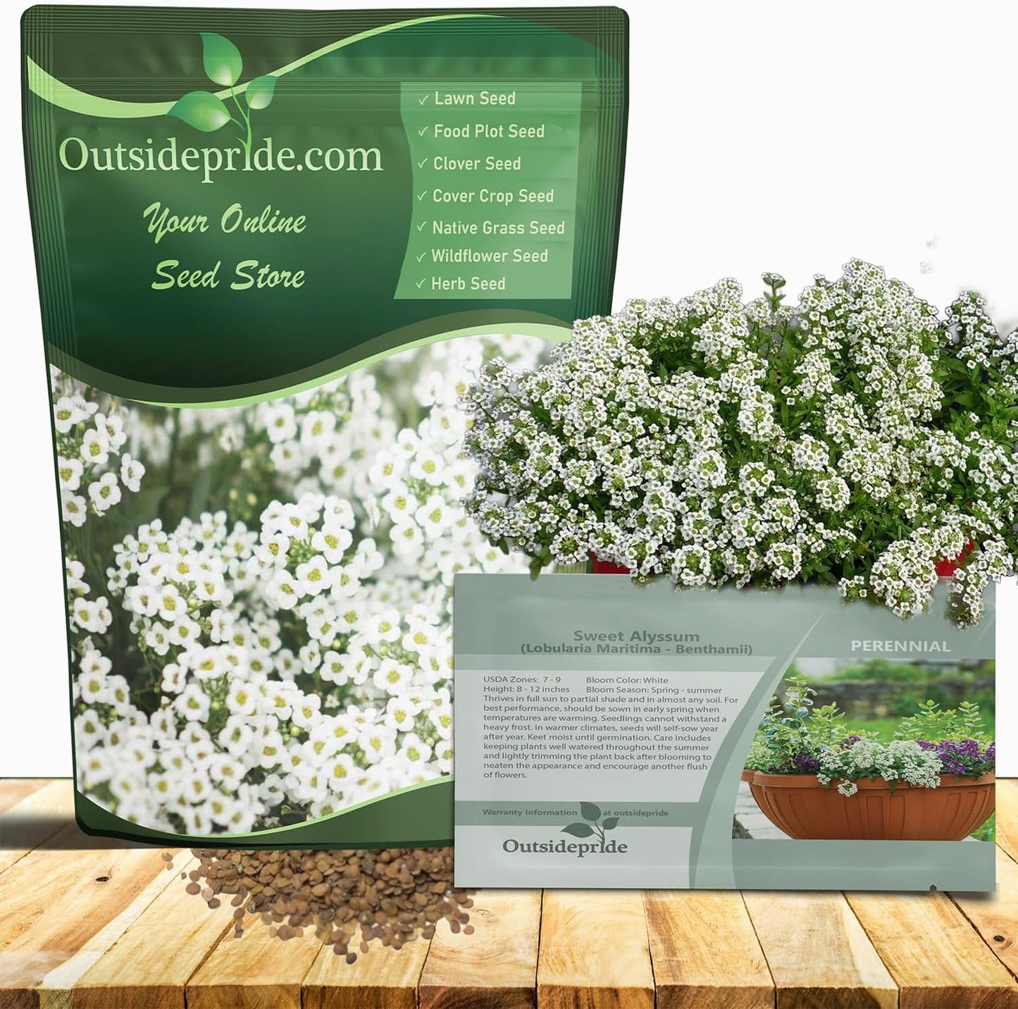 Outsidepride Perennial Sweet Alyssum Seeds - 5,000 White Lobularia Maritima for Pollinator Gardens | Drought-Tolerant & Easy to Grow in USDA Zones 7-9