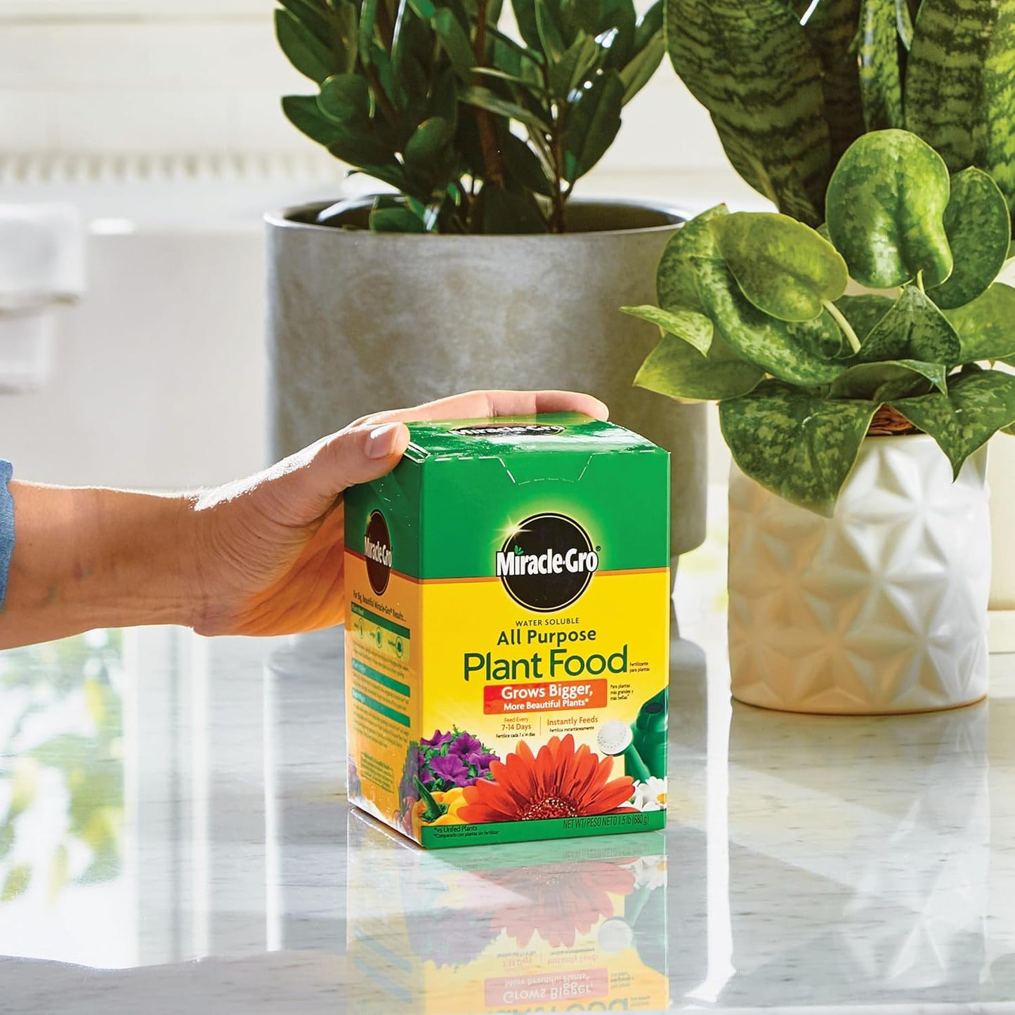 Miracle-Gro Water Soluble All-Purpose Plant Food - Fertilizer for Indoor & Outdoor Plants | 1.5 lbs