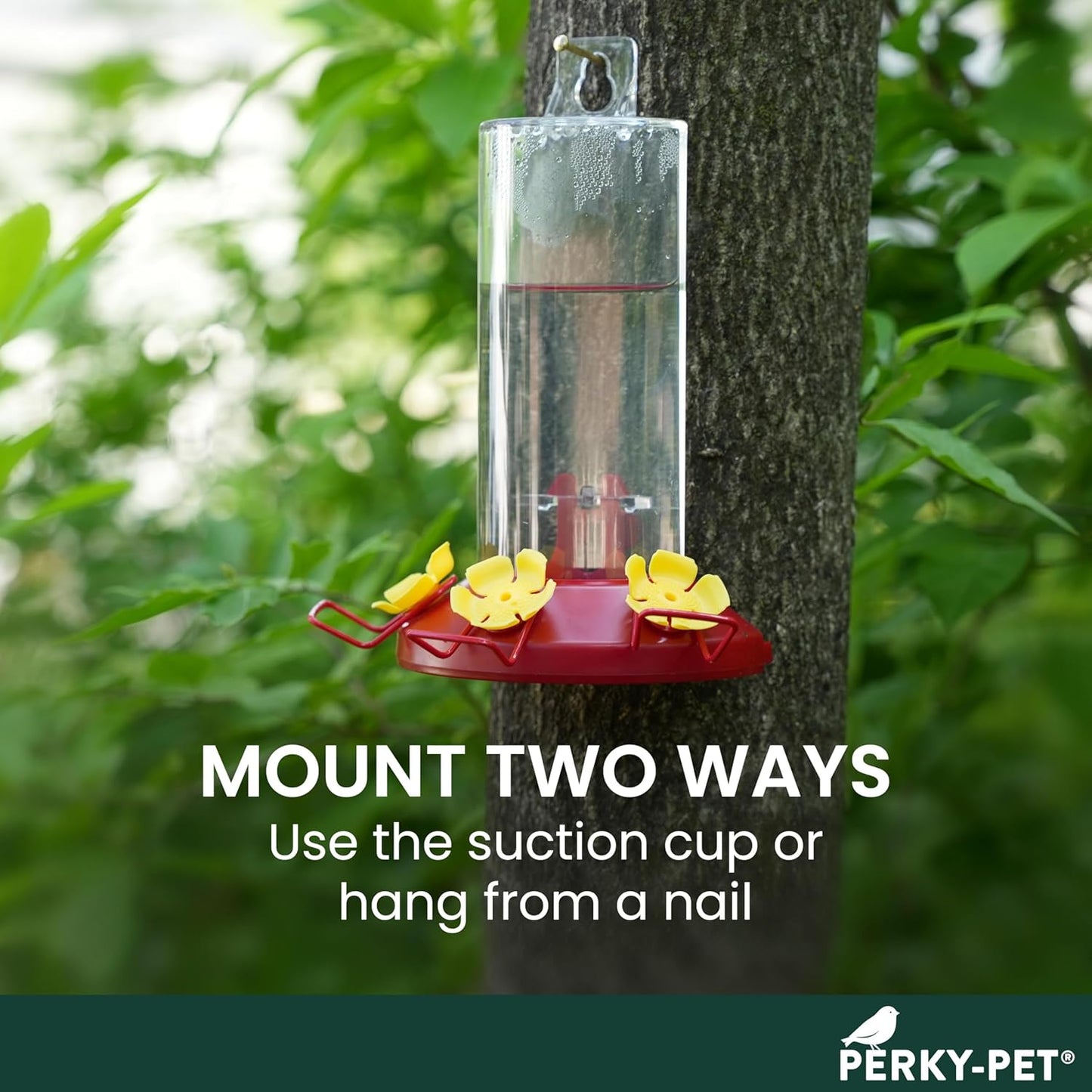 Perky-Pet Hummingbird Feeder - 8 oz Plastic Window Mount with Perches for Outdoor Use