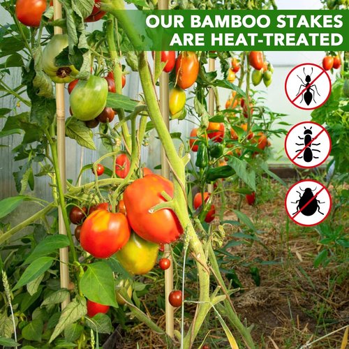 Bamboo Garden Stakes - 70 Pcs Natural 4 Feet Plant Support Sticks for Tomatoes, Beans & Climbing Plants