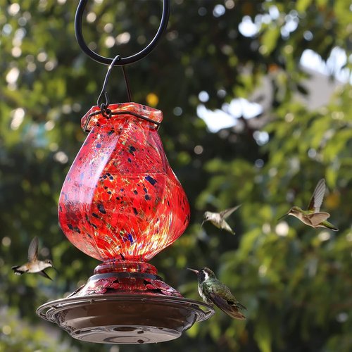 BOLITE Hummingbird Feeder - Hand Blown Glass Design with 5 Bee-Proof Ports & Ant Moat | 22oz Red