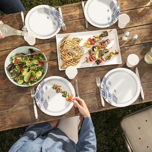 Dixie Disposable Paper Plates - Dinner Size, 220 Count, 10 1/16" | 5 Packs of 44 Plates
