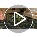 Dark Green Area Rug 5x7 ft for Living Room - Fairy Moss Boho Insect Décor, Washable, Non-Slip