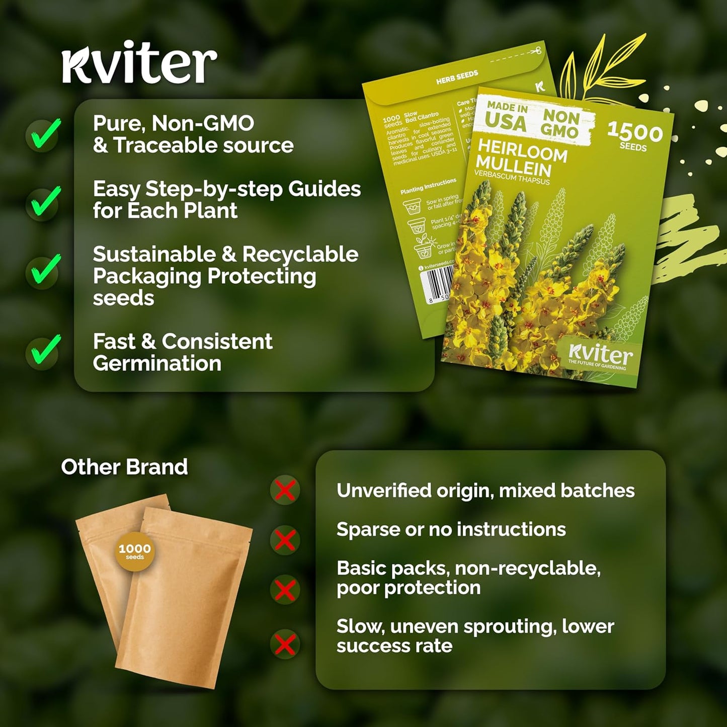 KVITER Mullein Seeds (Verbascum Thapsus) - Non-GMO Organic Heirloom Seeds for Herb Garden - 1,500 Count