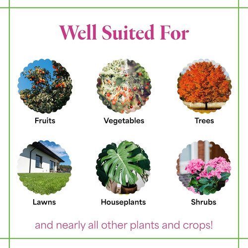 Grow More All-Season Plant Food - 20-20-20 Water Soluble Fertilizer for Houseplants & Gardens | 5lbs