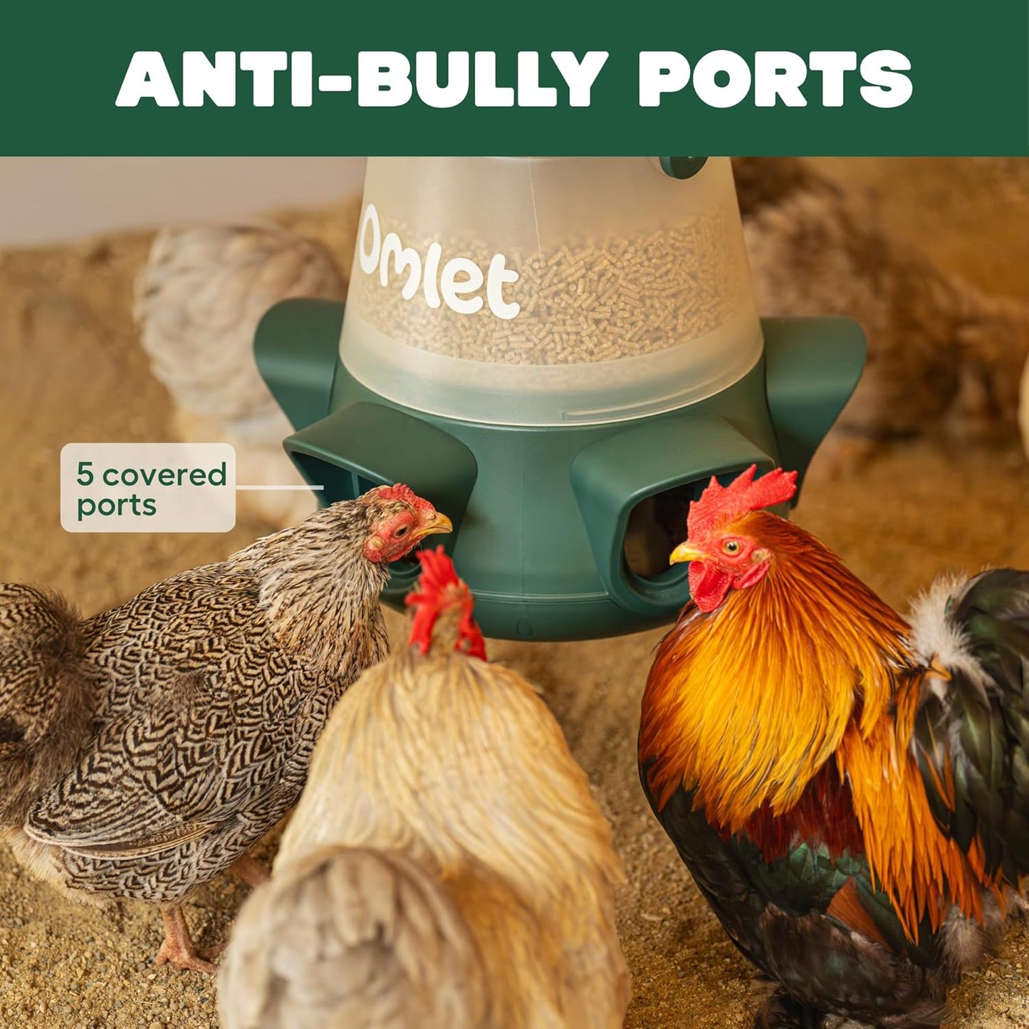 Omlet No Waste Chicken Feeder - No Spill BPA-Free Poultry Feeder with 5 Anti-Bully Ports | Feeds 6 Hens for 7 Days | 12lb