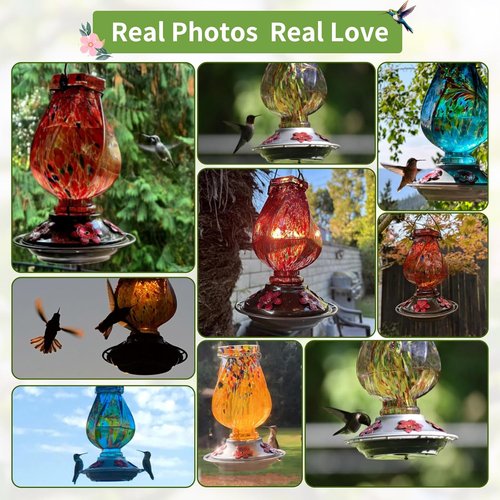 BOLITE Hummingbird Feeder - Hand Blown Glass Design with 5 Bee-Proof Ports & Ant Moat | 22oz Red