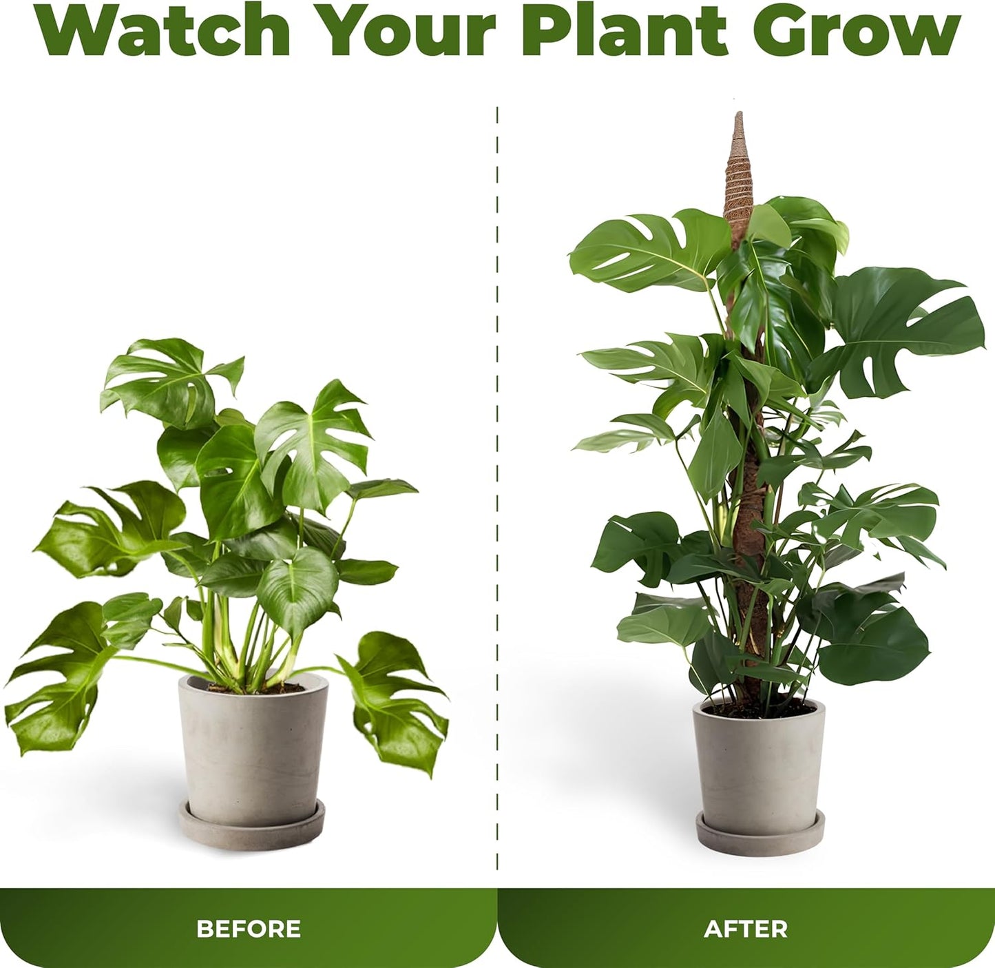 Skiennix 28-Inch Bendable Moss Pole | Indoor Plant Support Stakes for Monstera & Climbing Plants