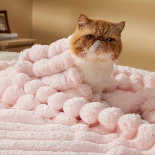 Bedsure Pink Throw Blanket - Fluffy 350GSM Cozy Plush Fleece for Women | 50x60 Inches, Striped Design