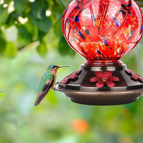 BOLITE Hummingbird Feeder - Hand Blown Glass Design with 5 Bee-Proof Ports | 22oz Capacity, Red Peony