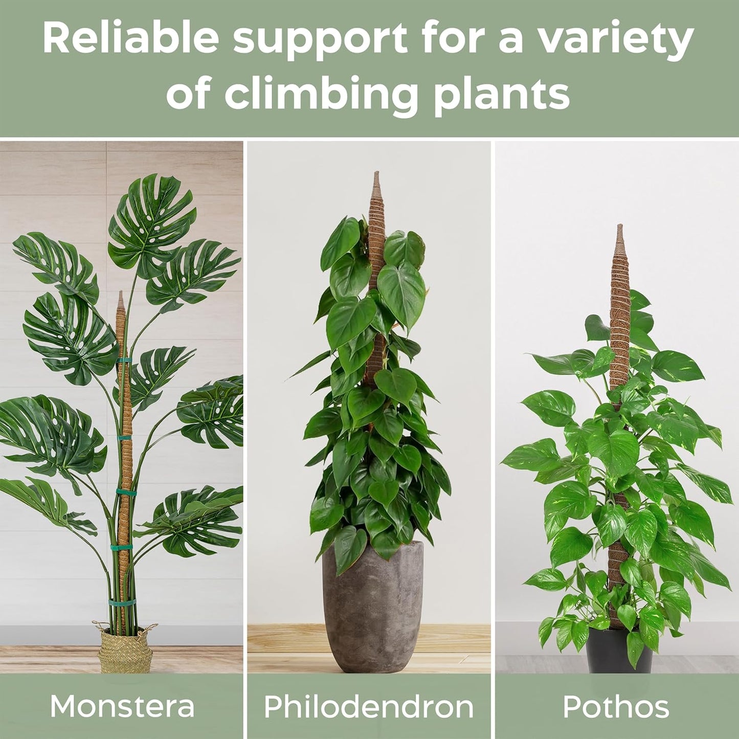 K-Brands Bendable Moss Pole Set - 48'' & 63'' Monstera Plant Support for Indoor Climbing Plants