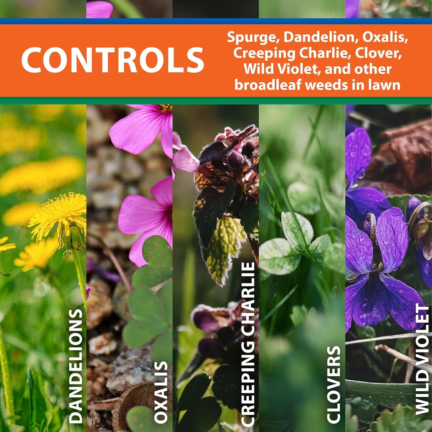 Monterey Spurge Power Herbicide Concentrate - Effective Post Emergent Control - 1 Pint