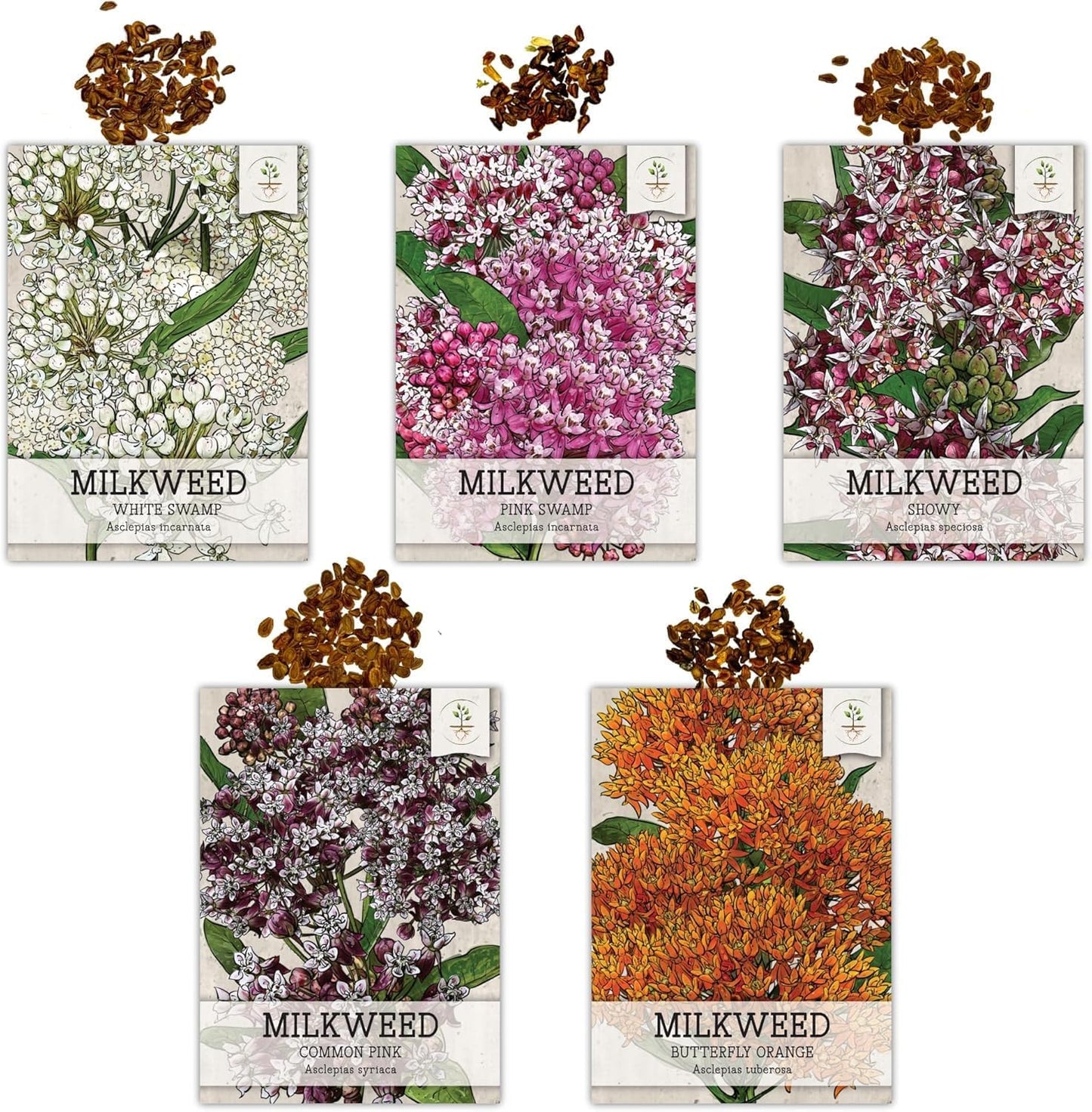 Seed Needs Milkweed Seeds - Attract Monarch Butterflies with Pink, Orange & White Variety Pack (5 Packs)