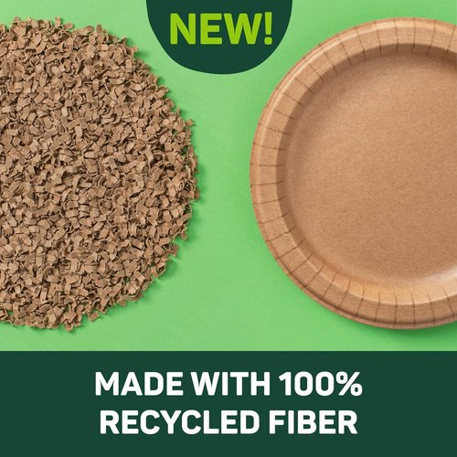 Dixie EcoSmart 100% Recycled Fiber Paper Plates - Large 10-Inch, 144 Count for All Meals