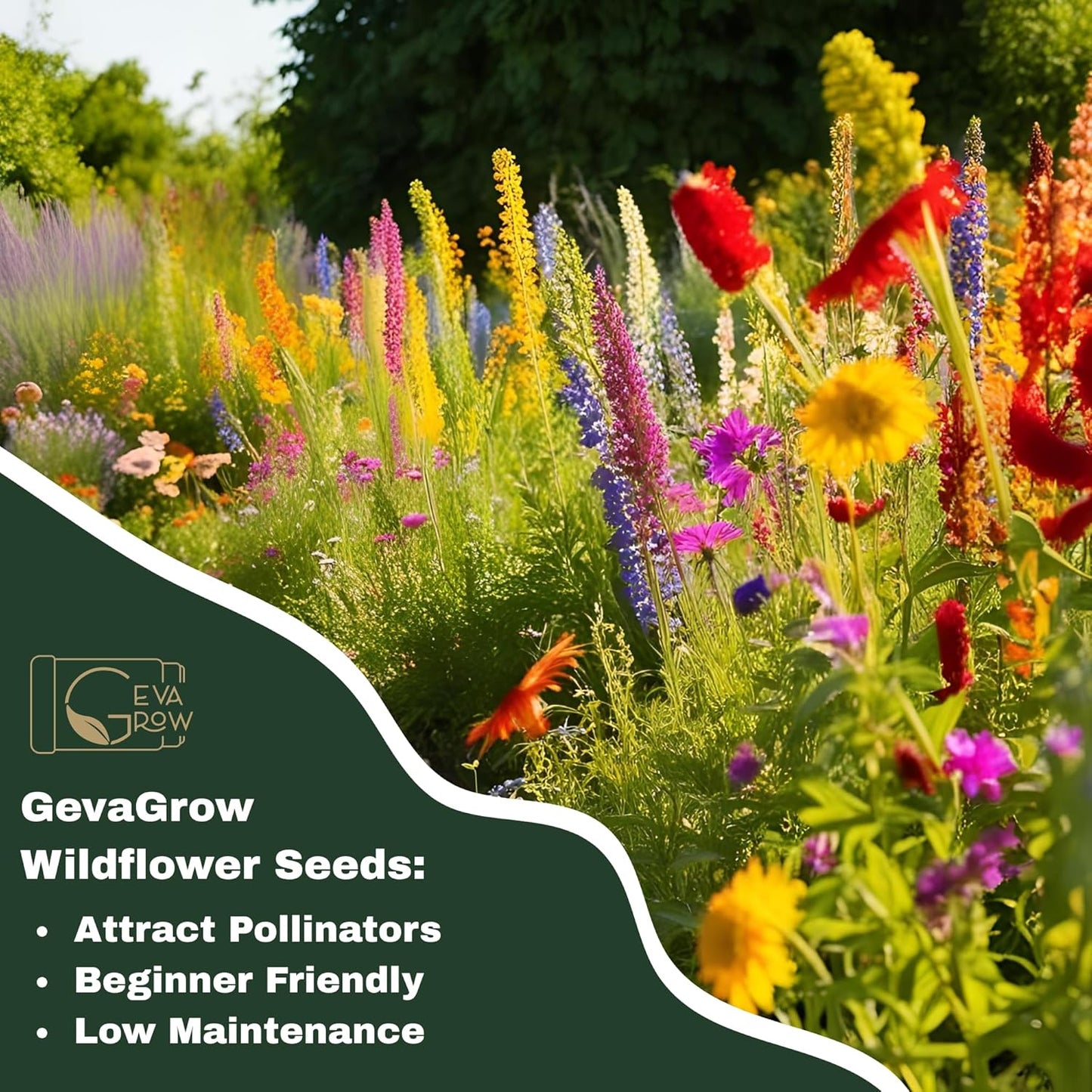 Wildflower Seeds Bulk - 40,000+ Non-GMO Butterfly & Hummingbird Mix | 1 Oz. Pollinator Flower Seeds