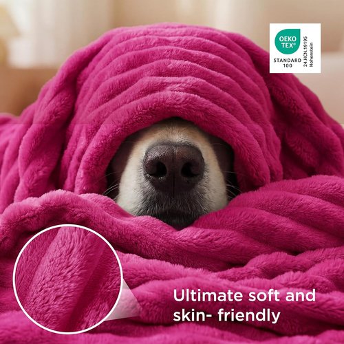 Bedsure GentleSoft Hot Pink Fleece Blanket - Cozy 50x70 Inch Throw for Women & Girls