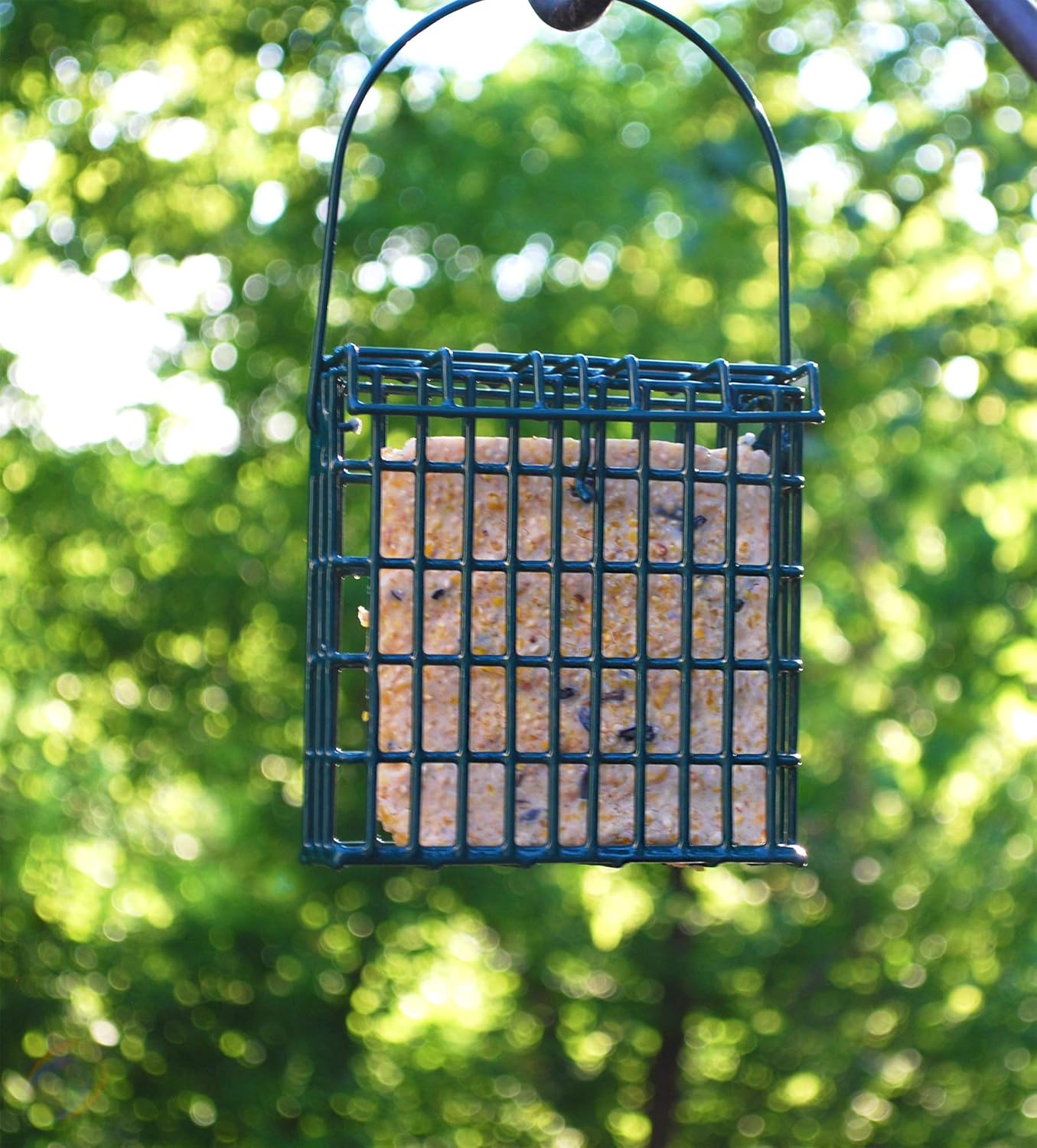 St. Albans Bay Suet Plus High Energy Suet Cakes - 20 Pack of 11 oz. Wild Bird Treats