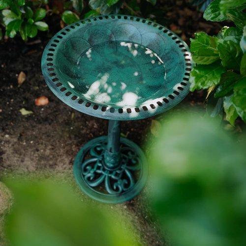 Backyard Expressions Bird Bath - Weather-Resistant Green Polyresin - 27 Inch Outdoor Decor