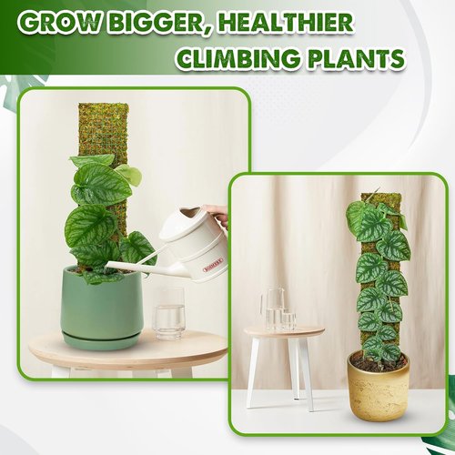 DUSPRO Moss Poles for Climbing Plants - Stackable 22” Handmade Real Moss Sticks | 2 Pack for Indoor Growth