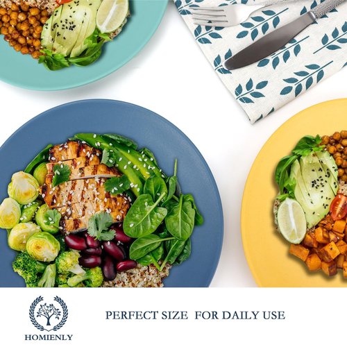 Homienly Wheat Straw Plates Unbreakable Flat Salad Plates Set of 8 Reusable Dinner Plate for Kitchen, Camping, RV, Microwave and Dishwasher Safe Plate Heavy Duty Paper Plates Alternative (Multi, 9in)