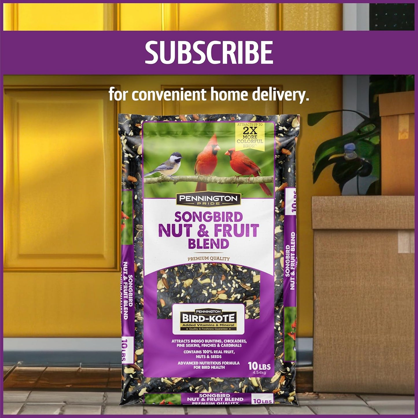 Pennington Pride Songbird Nut & Fruit Blend - Advanced Nutrition Wild Bird Seed, 10 lb Bag