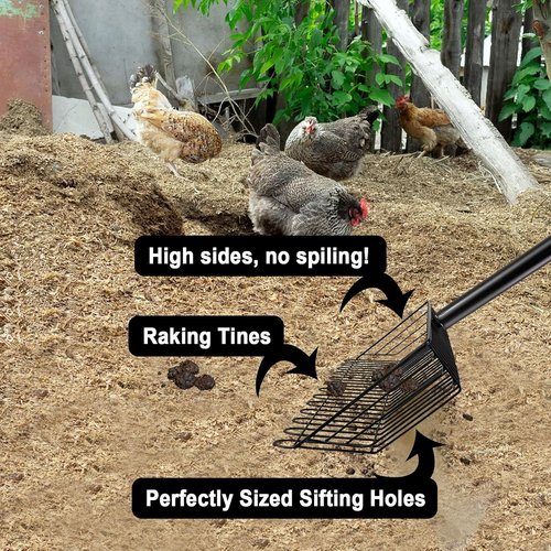 Chicken Poop Scooper - 2-in-1 Stainless Steel Rake with Adjustable Handle for Easy Waste Cleanup