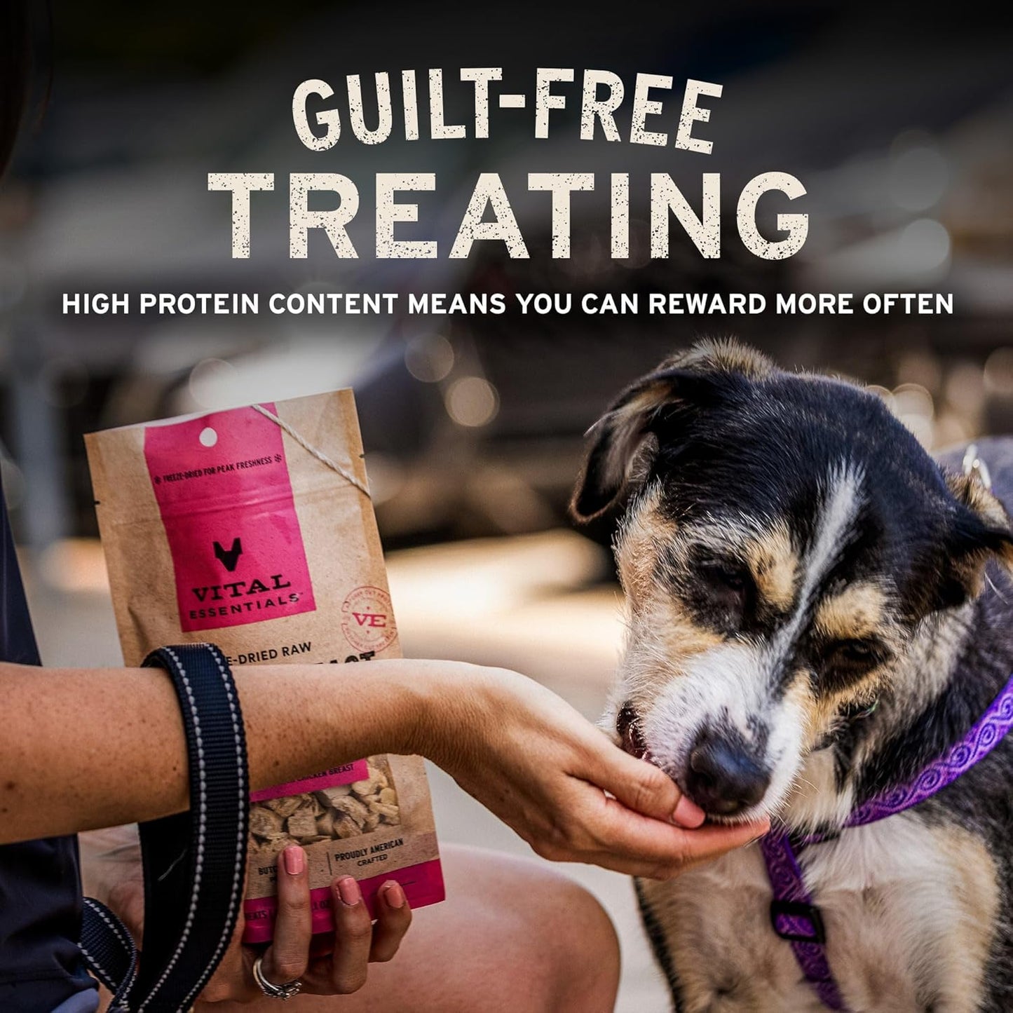 Vital Essentials Freeze Dried Dog Treats - Beef Liver, Single Ingredient | Grain Free Training Treats, 2.1 oz Bag