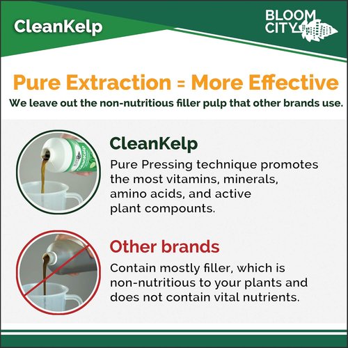 Bloom City Seaweed & Kelp Fertilizer - Liquid Supplement for Stronger Roots & Faster Growth | 8 oz